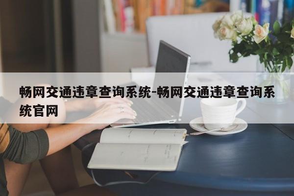 畅网交通违章查询系统-畅网交通违章查询系统官网