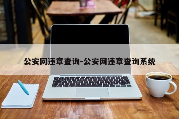 公安网违章查询-公安网违章查询系统