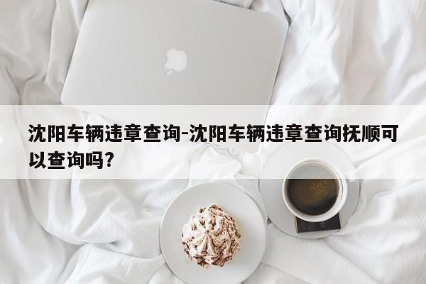 沈阳车辆违章查询-沈阳车辆违章查询抚顺可以查询吗?