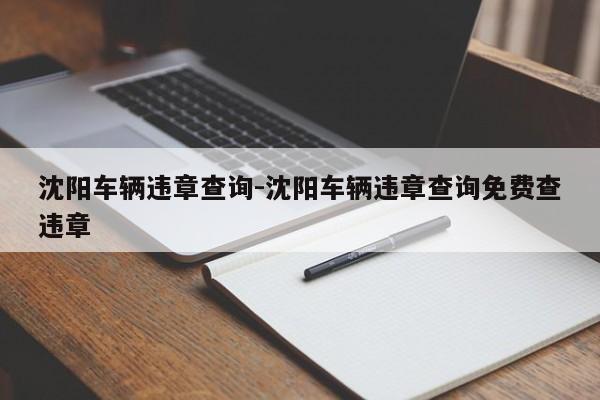 沈阳车辆违章查询-沈阳车辆违章查询免费查违章