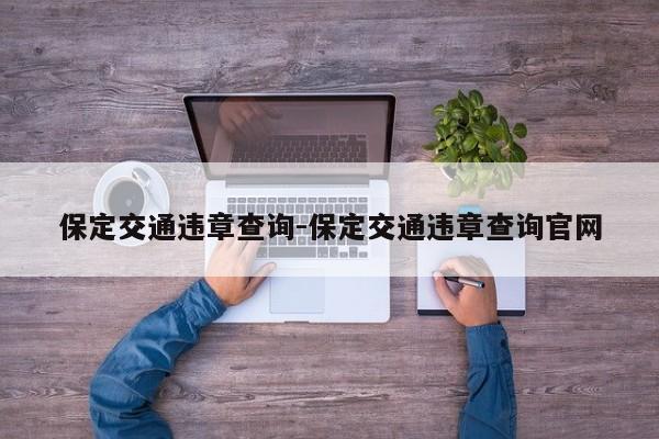 保定交通违章查询-保定交通违章查询官网