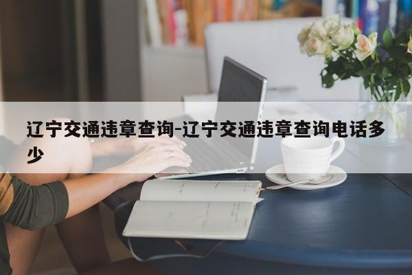 辽宁交通违章查询-辽宁交通违章查询电话多少