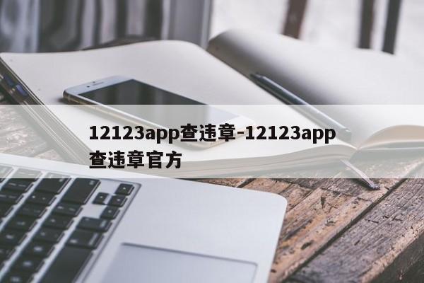 12123app查违章-12123app查违章官方