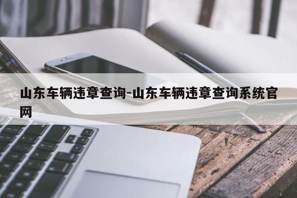 山东车辆违章查询-山东车辆违章查询系统官网