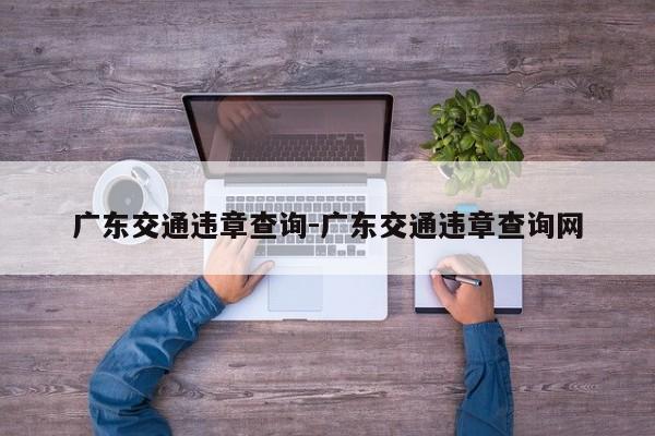 广东交通违章查询-广东交通违章查询网