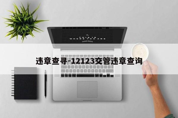 违章查寻-12123交管违章查询