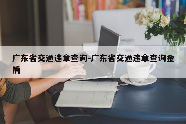 广东省交通违章查询-广东省交通违章查询金盾