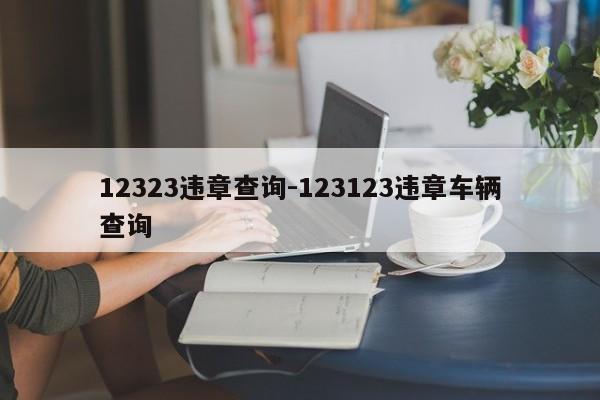 12323违章查询-123123违章车辆查询