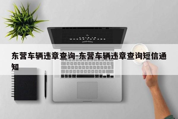 东营车辆违章查询-东营车辆违章查询短信通知