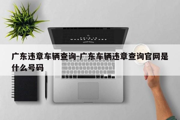 广东违章车辆查询-广东车辆违章查询官网是什么号码