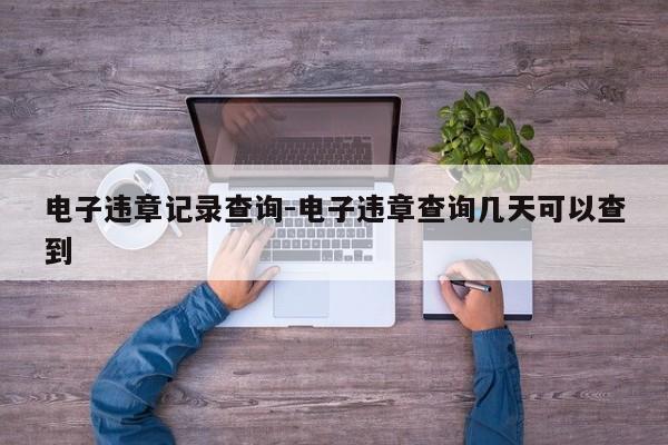 电子违章记录查询-电子违章查询几天可以查到