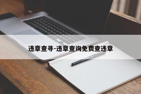 违章查寻-违章查询免费查违章