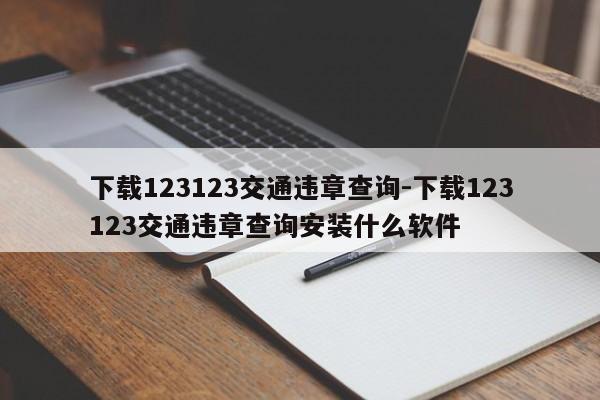 下载123123交通违章查询-下载123123交通违章查询安装什么软件