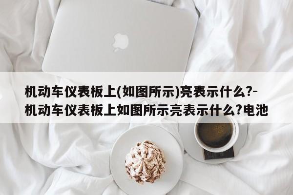 机动车仪表板上(如图所示)亮表示什么?-机动车仪表板上如图所示亮表示什么?电池