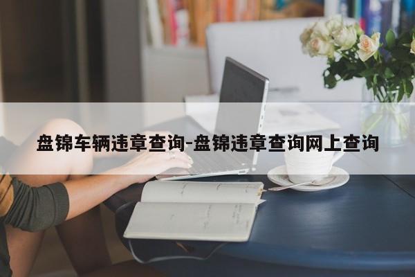 盘锦车辆违章查询-盘锦违章查询网上查询